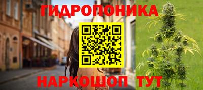 МДПВ Аша
