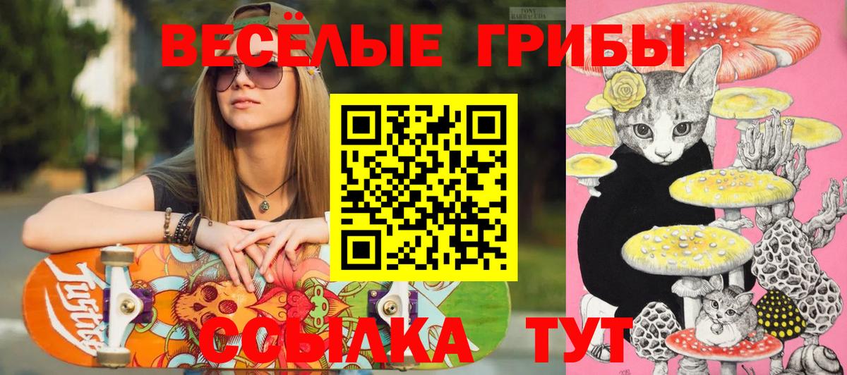Галлюциногенные грибы Psilocybe Прохладный