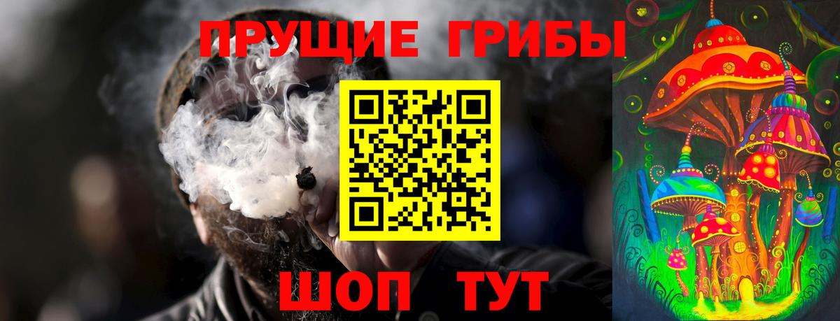 Прохладный  Псилоцибиновые грибы Psilocybe  Галлюциногенные грибы Psilocybine cubensis  Вход с VPN 